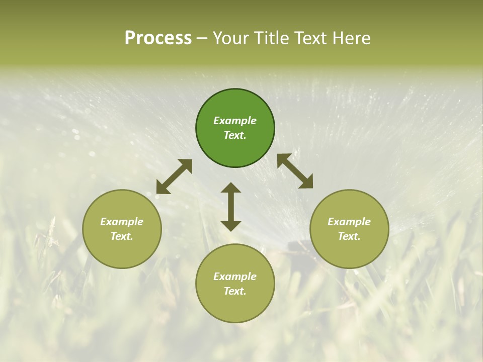 Water Splashing From A Sprinkler Hidden In The Grass. PowerPoint Template