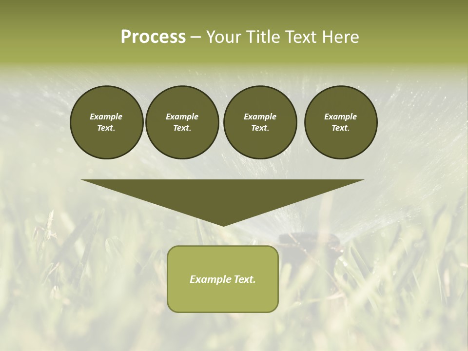 Water Splashing From A Sprinkler Hidden In The Grass. PowerPoint Template