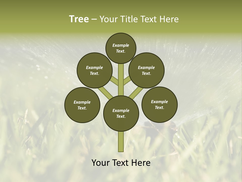 Water Splashing From A Sprinkler Hidden In The Grass. PowerPoint Template