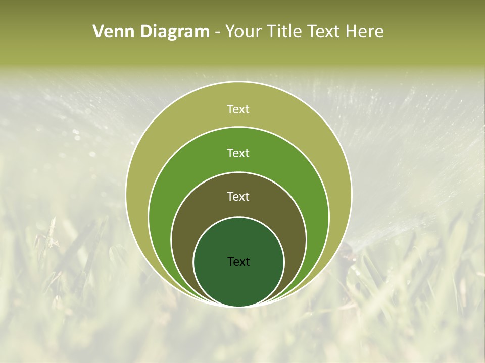 Water Splashing From A Sprinkler Hidden In The Grass. PowerPoint Template