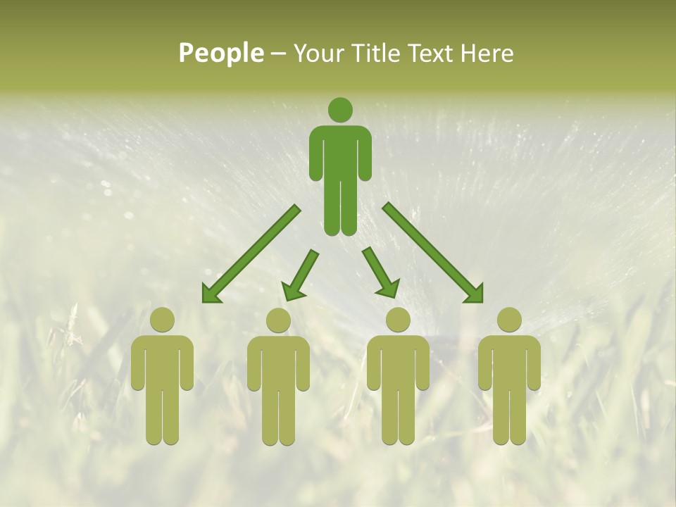 Water Splashing From A Sprinkler Hidden In The Grass. PowerPoint Template