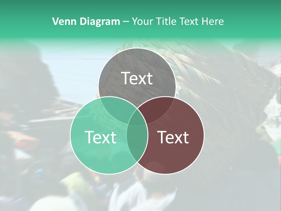 Detail Of The Head Of A Man Exiting From A Swimmingpool PowerPoint Template