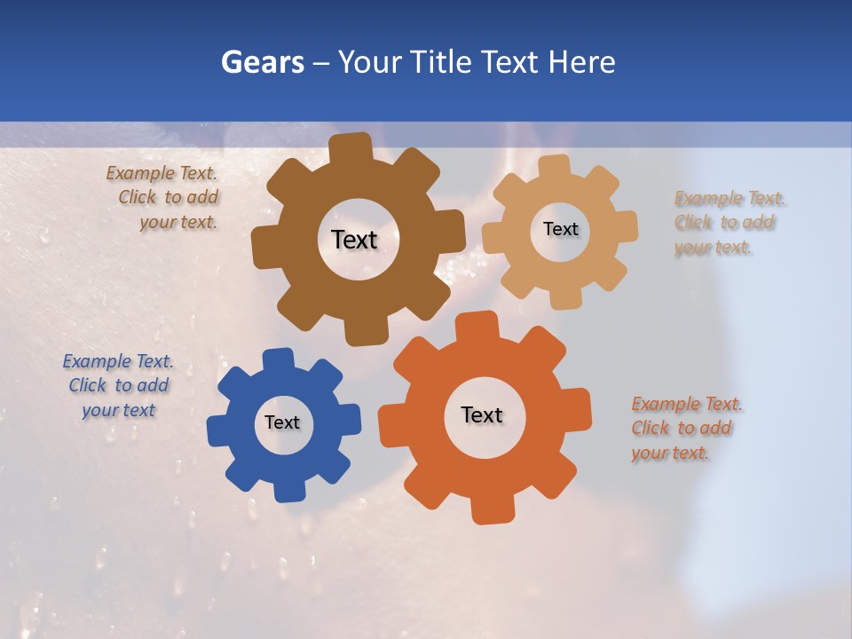 Detail Of The Head Of A Man Exiting From A Swimmingpool PowerPoint Template