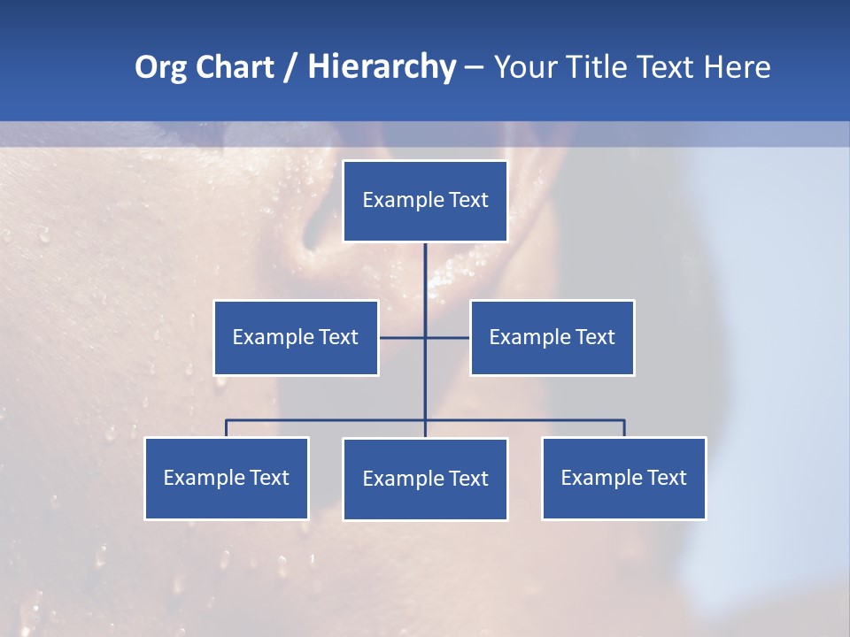 Detail Of The Head Of A Man Exiting From A Swimmingpool PowerPoint Template
