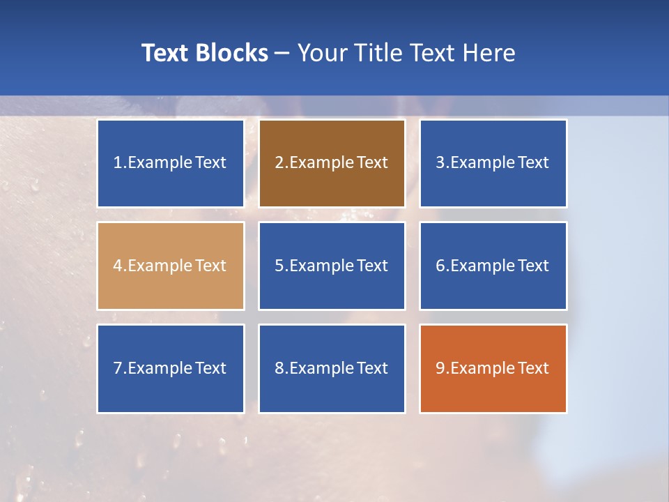 Detail Of The Head Of A Man Exiting From A Swimmingpool PowerPoint Template
