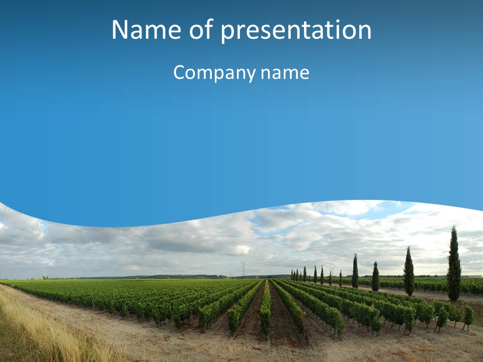 French Vineyard. PowerPoint Template