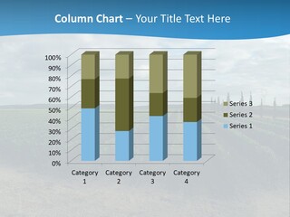 French Vineyard. PowerPoint Template