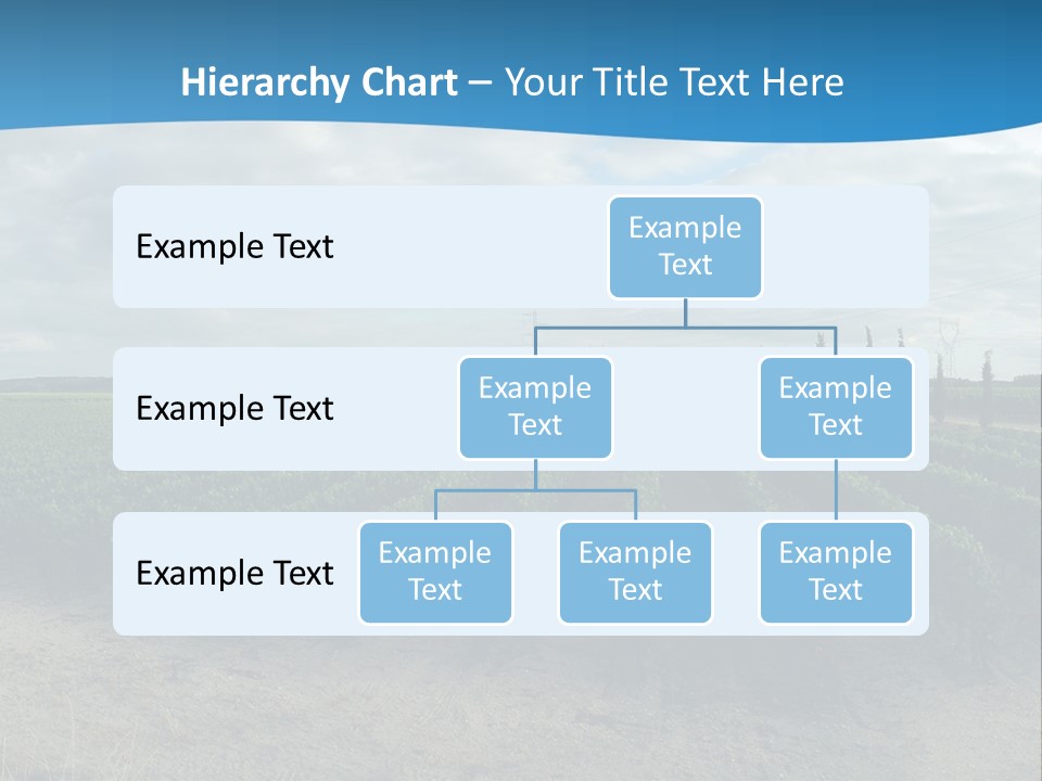 French Vineyard. PowerPoint Template