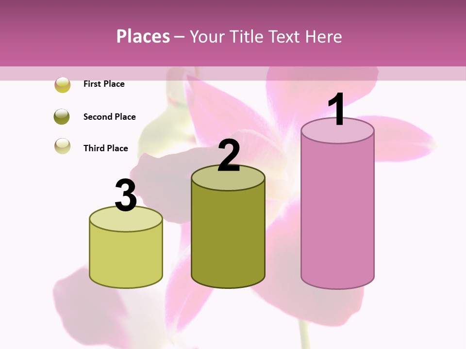 Royal Pink Orchid Isolated On White Background PowerPoint Template