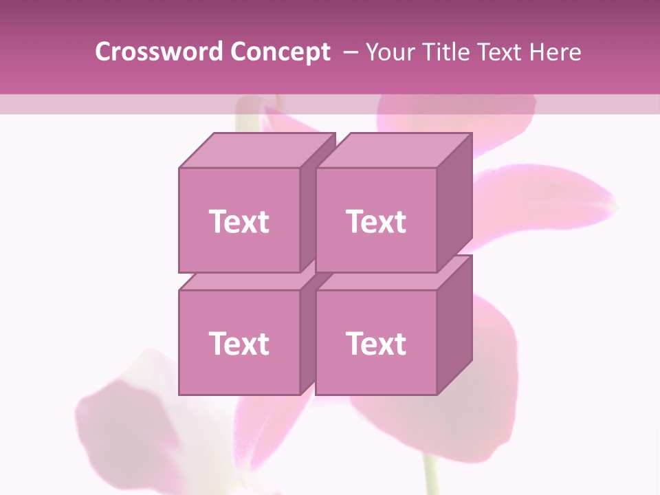 Royal Pink Orchid Isolated On White Background PowerPoint Template