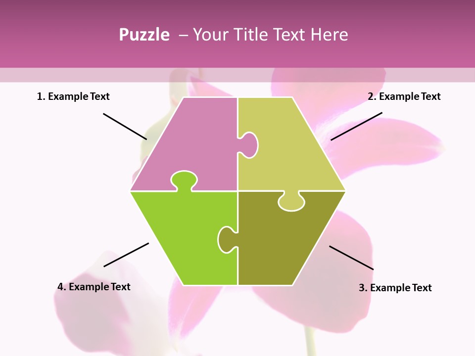 Royal Pink Orchid Isolated On White Background PowerPoint Template