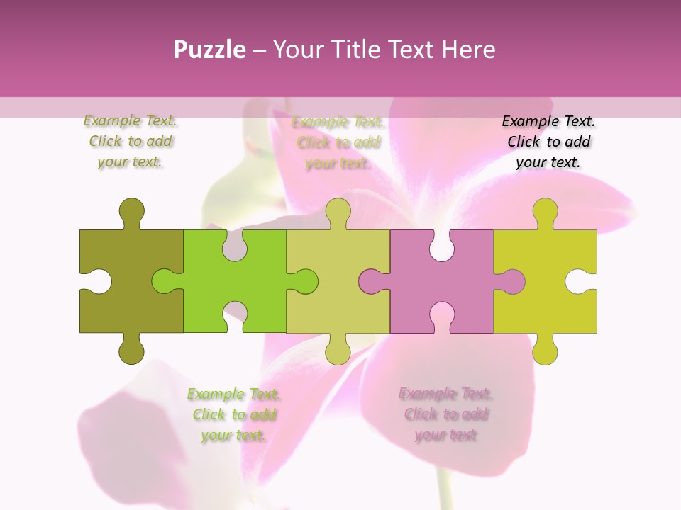 Royal Pink Orchid Isolated On White Background PowerPoint Template