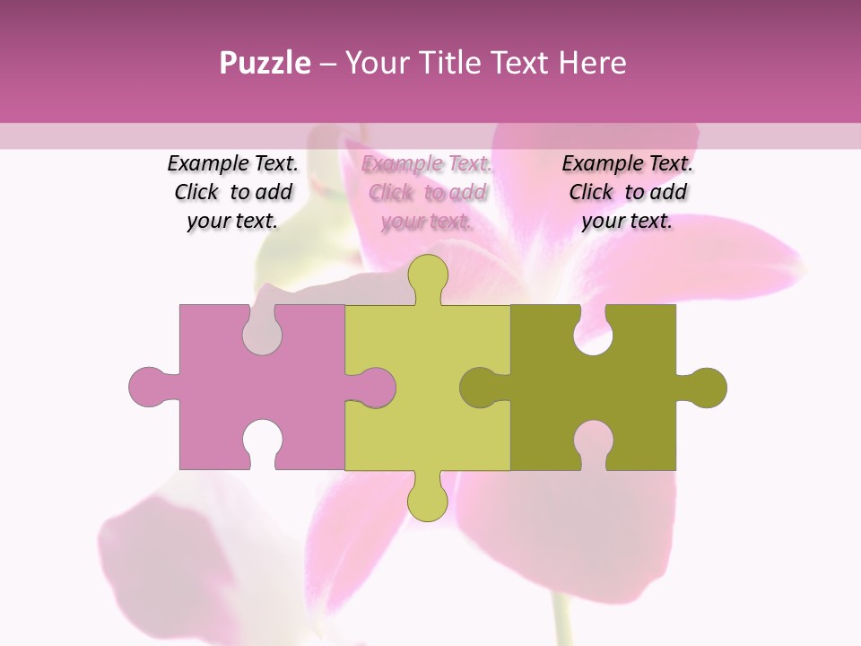 Royal Pink Orchid Isolated On White Background PowerPoint Template