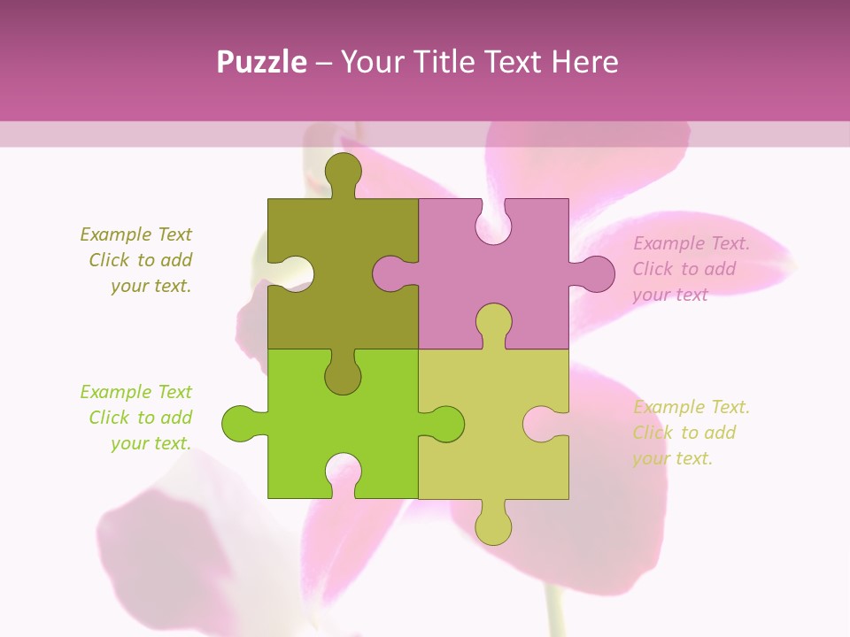 Royal Pink Orchid Isolated On White Background PowerPoint Template