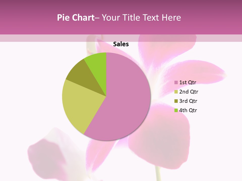 Royal Pink Orchid Isolated On White Background PowerPoint Template