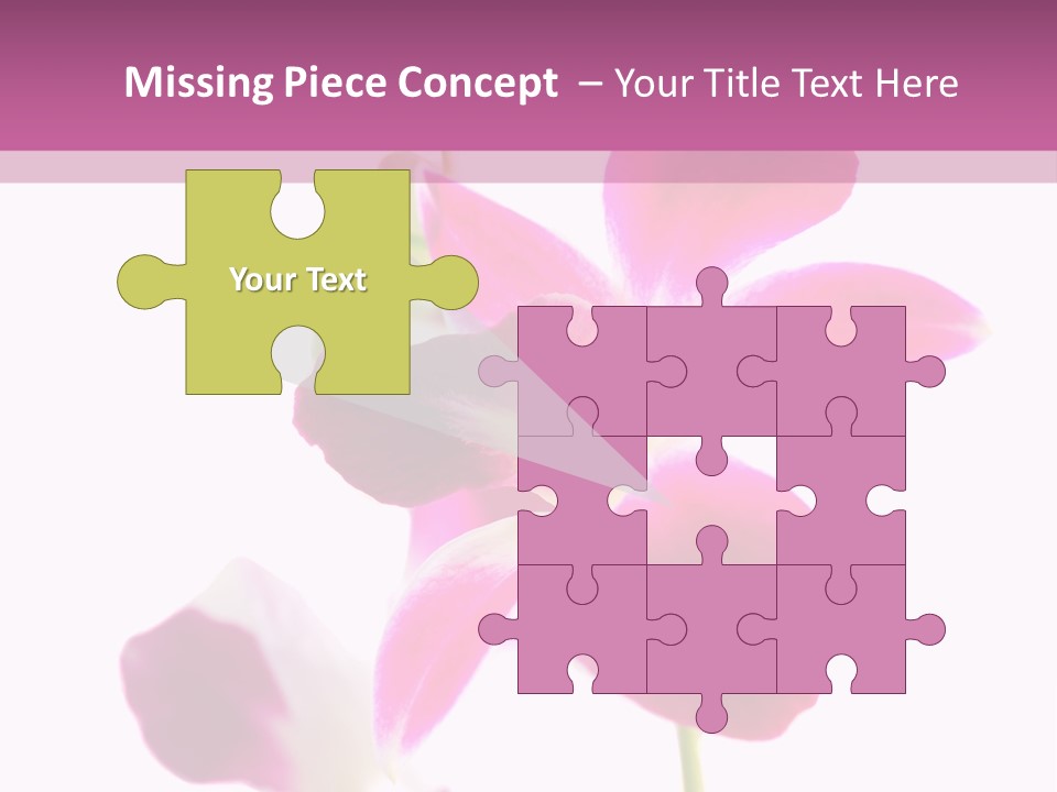 Royal Pink Orchid Isolated On White Background PowerPoint Template