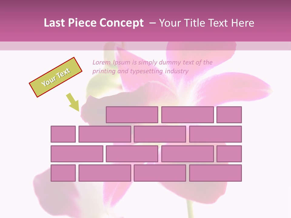 Royal Pink Orchid Isolated On White Background PowerPoint Template