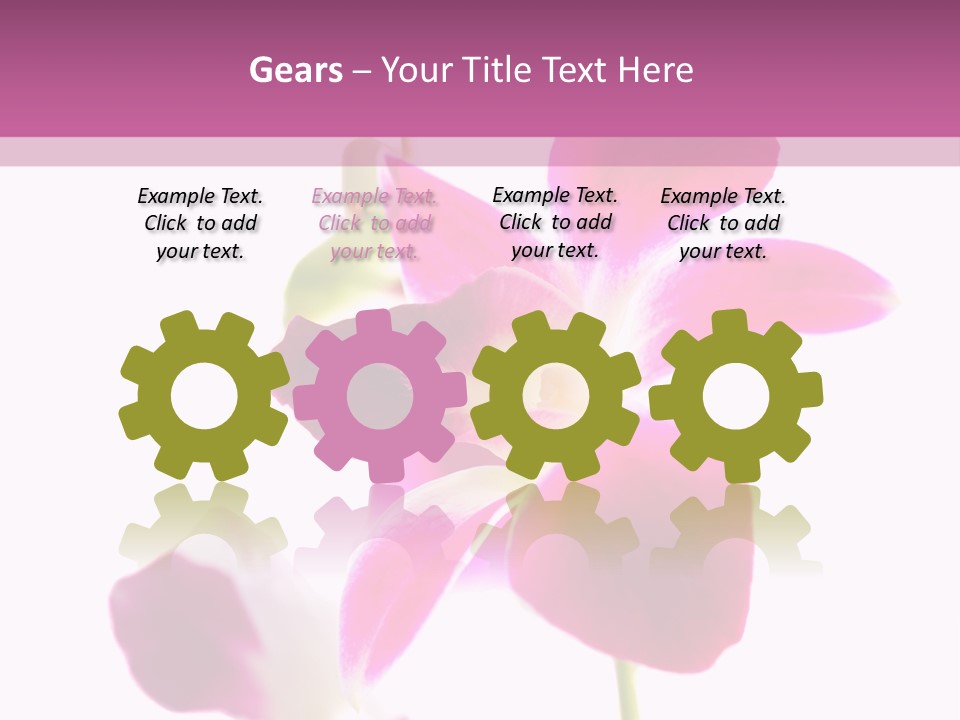 Royal Pink Orchid Isolated On White Background PowerPoint Template