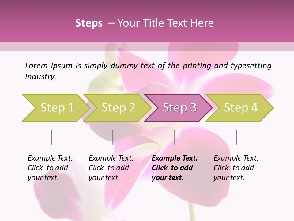 Royal Pink Orchid Isolated On White Background PowerPoint Template