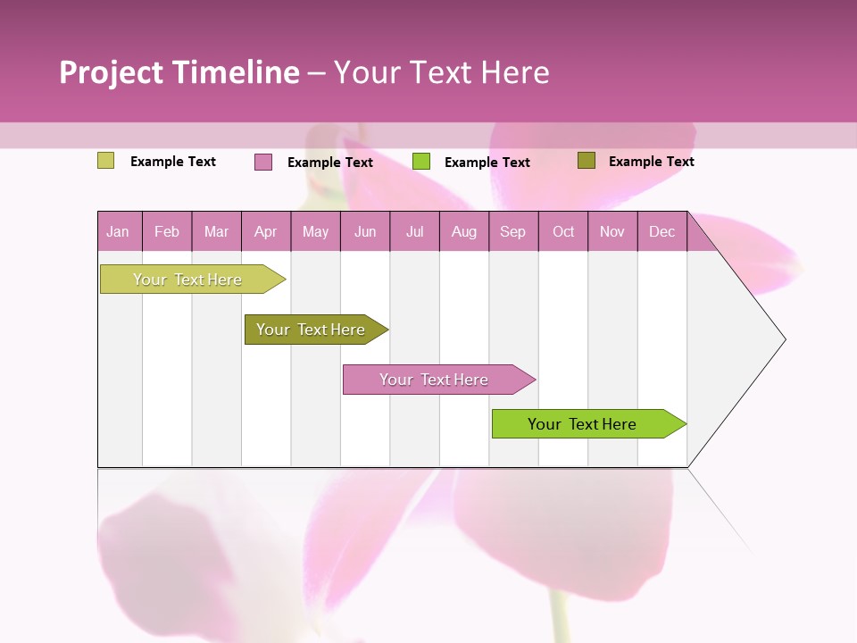 Royal Pink Orchid Isolated On White Background PowerPoint Template