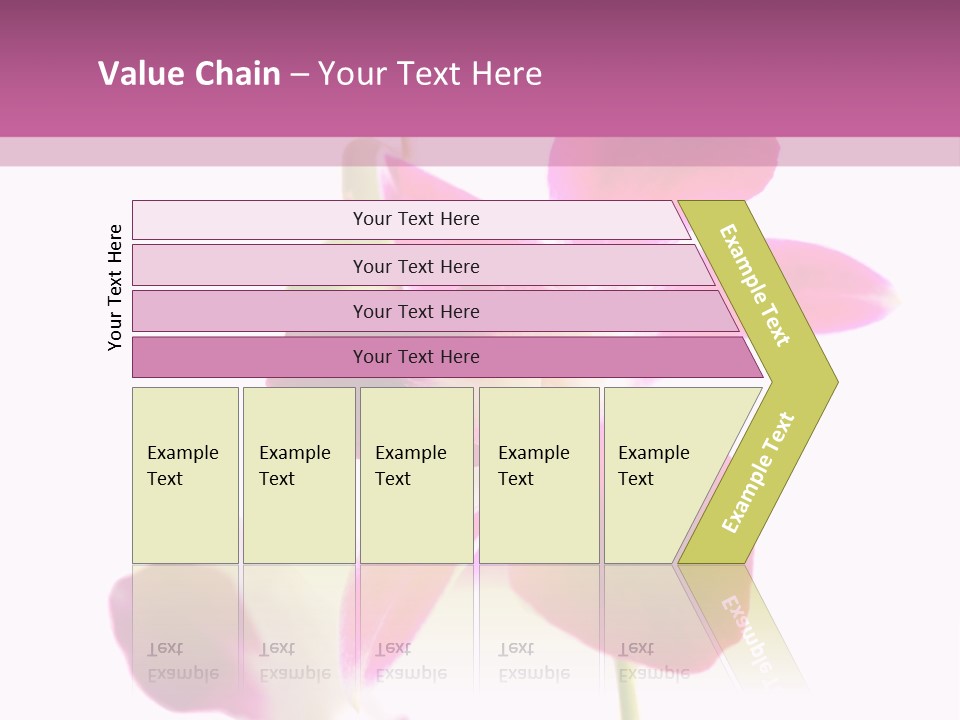 Royal Pink Orchid Isolated On White Background PowerPoint Template