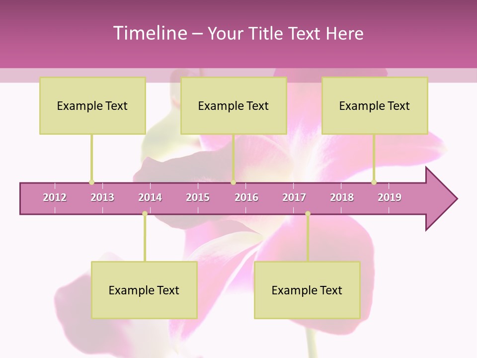 Royal Pink Orchid Isolated On White Background PowerPoint Template