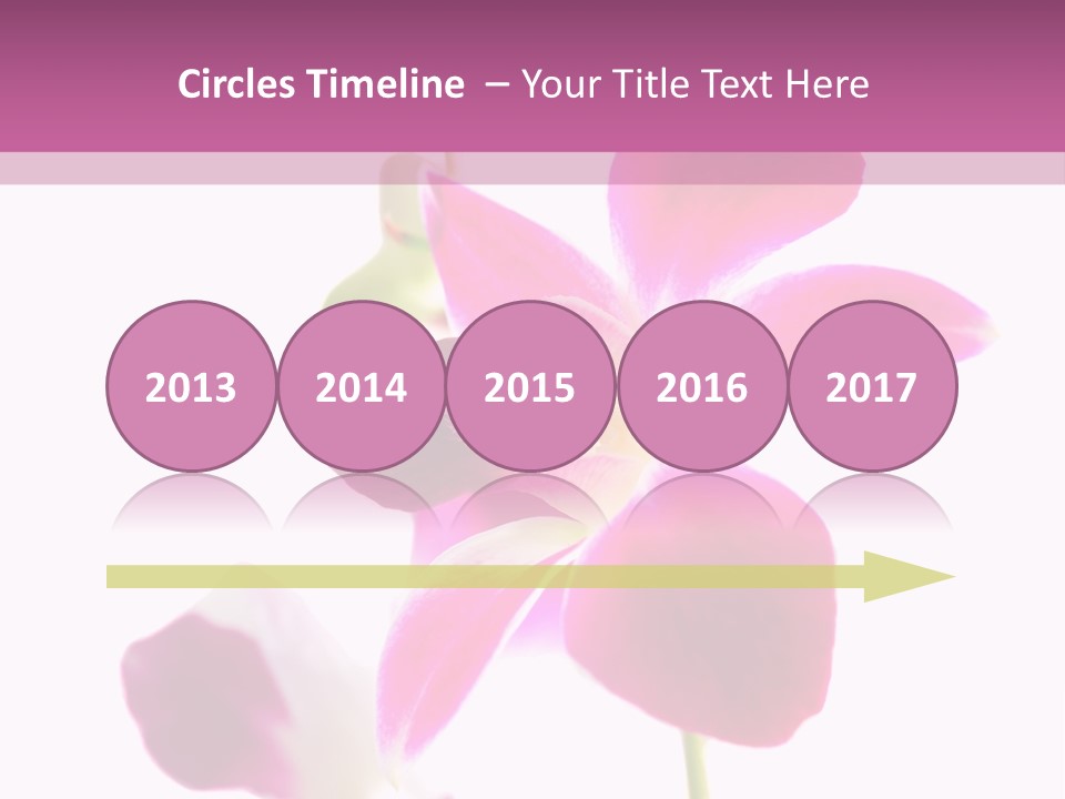 Royal Pink Orchid Isolated On White Background PowerPoint Template