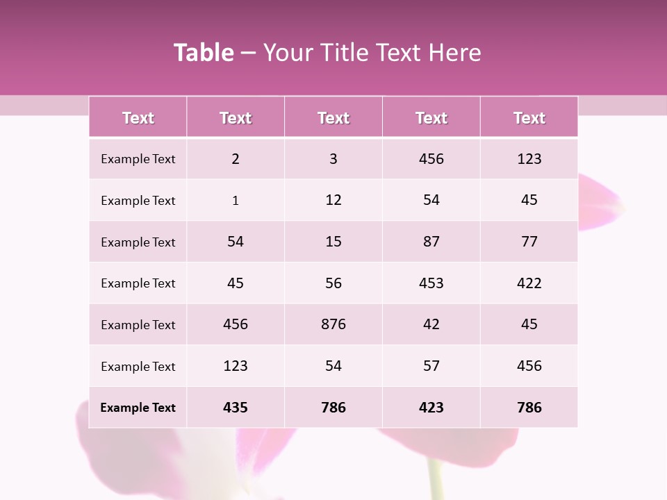 Royal Pink Orchid Isolated On White Background PowerPoint Template