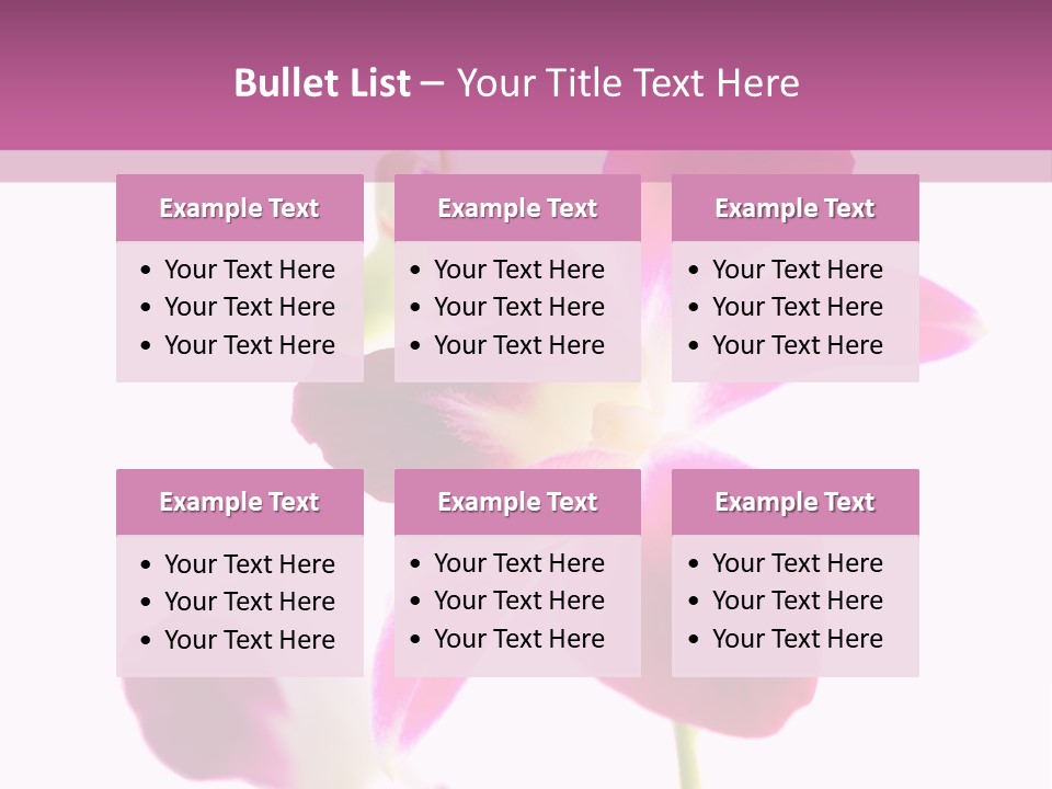 Royal Pink Orchid Isolated On White Background PowerPoint Template