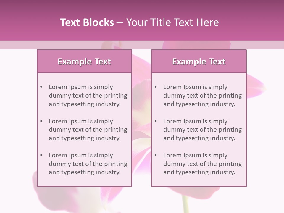 Royal Pink Orchid Isolated On White Background PowerPoint Template