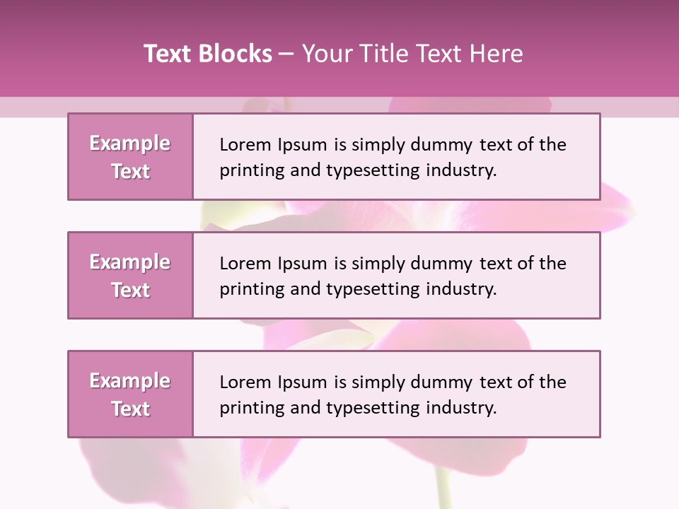 Royal Pink Orchid Isolated On White Background PowerPoint Template