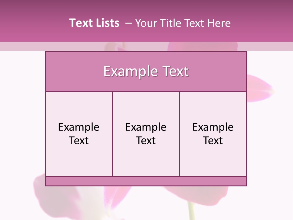 Royal Pink Orchid Isolated On White Background PowerPoint Template