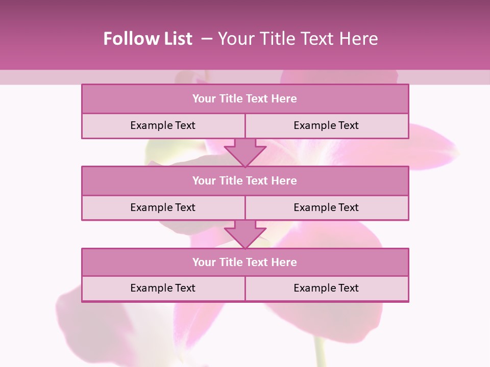 Royal Pink Orchid Isolated On White Background PowerPoint Template