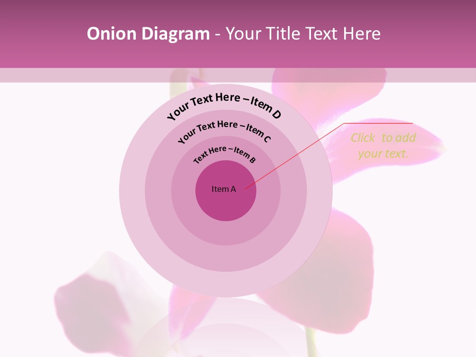 Royal Pink Orchid Isolated On White Background PowerPoint Template