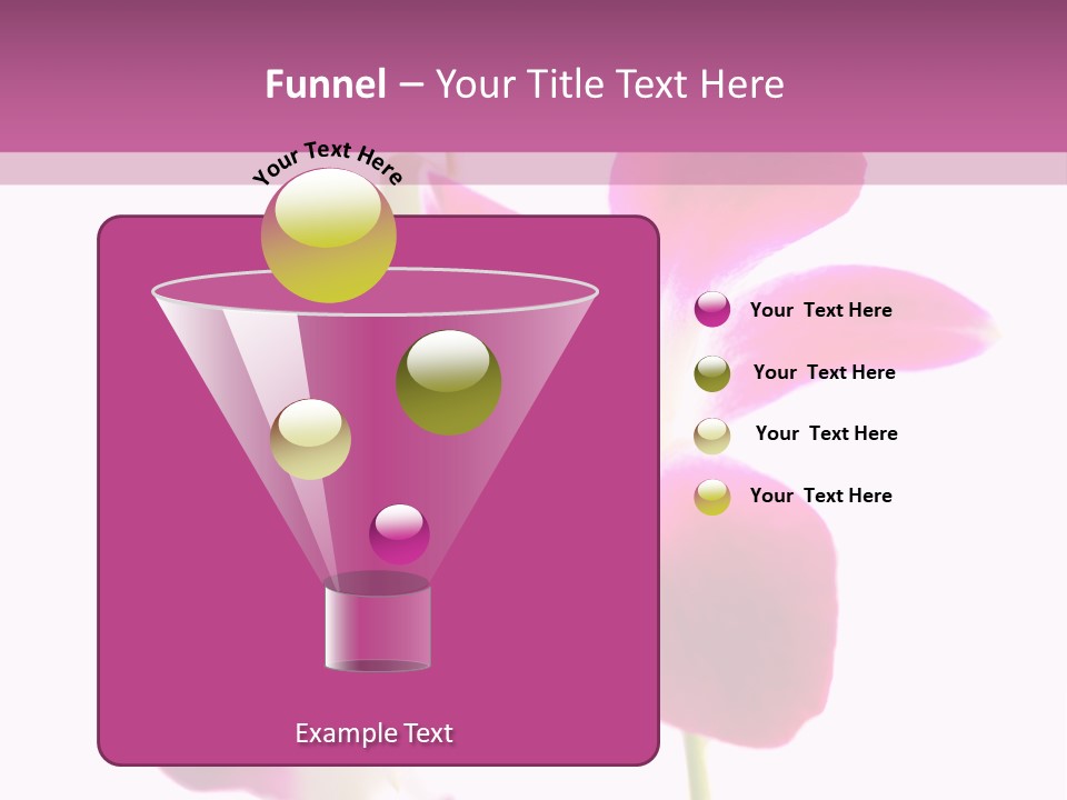 Royal Pink Orchid Isolated On White Background PowerPoint Template