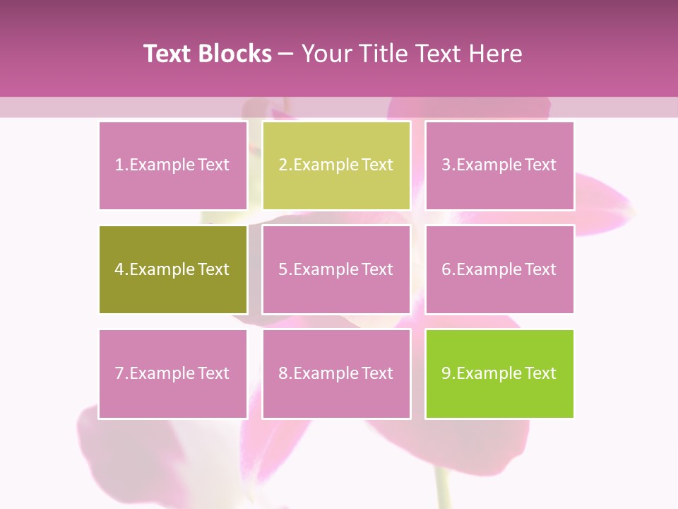 Royal Pink Orchid Isolated On White Background PowerPoint Template