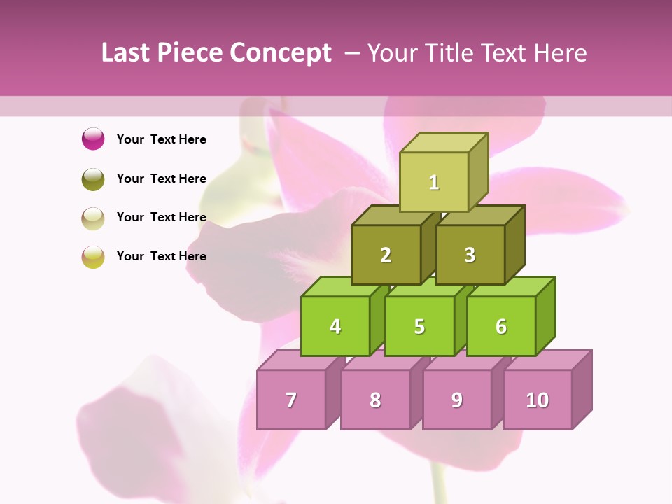 Royal Pink Orchid Isolated On White Background PowerPoint Template