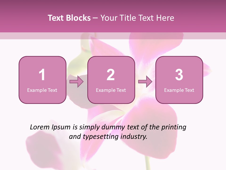 Royal Pink Orchid Isolated On White Background PowerPoint Template