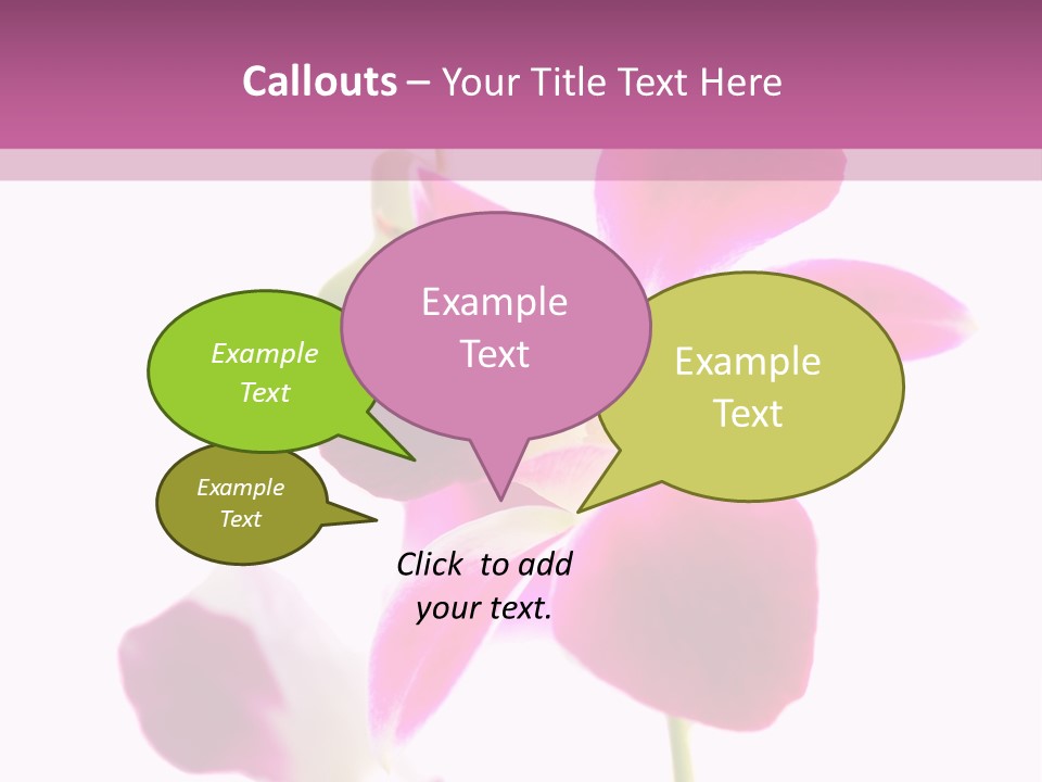 Royal Pink Orchid Isolated On White Background PowerPoint Template