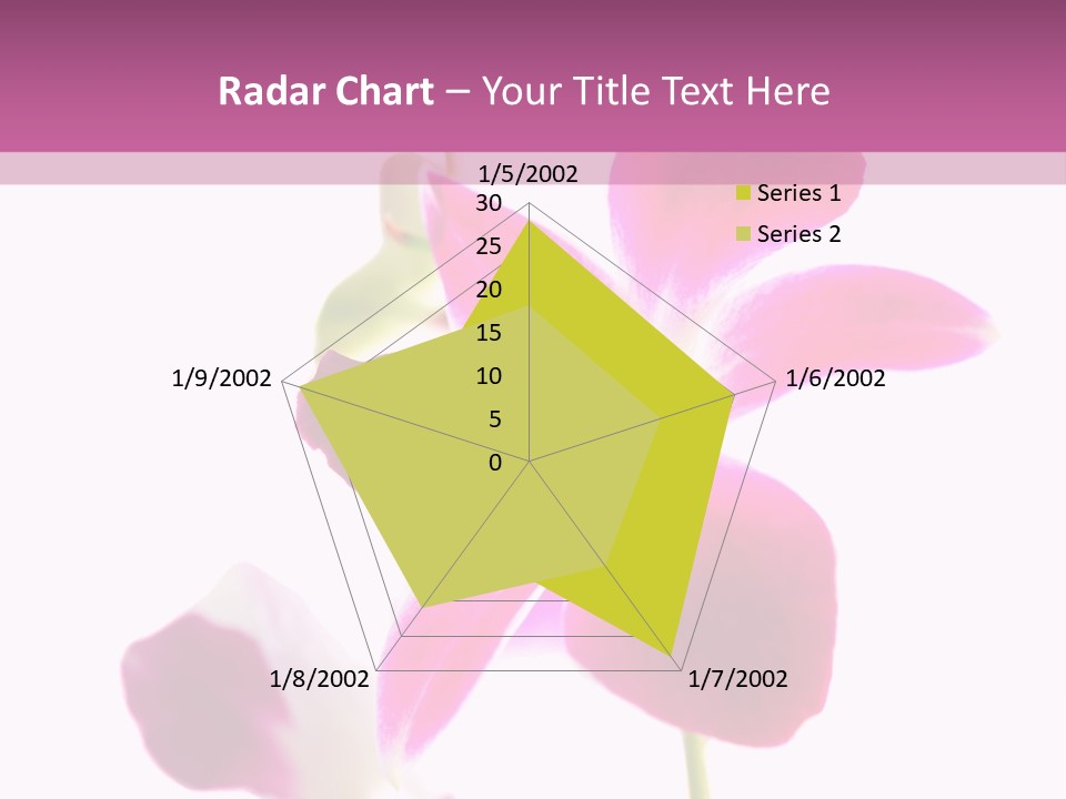 Royal Pink Orchid Isolated On White Background PowerPoint Template