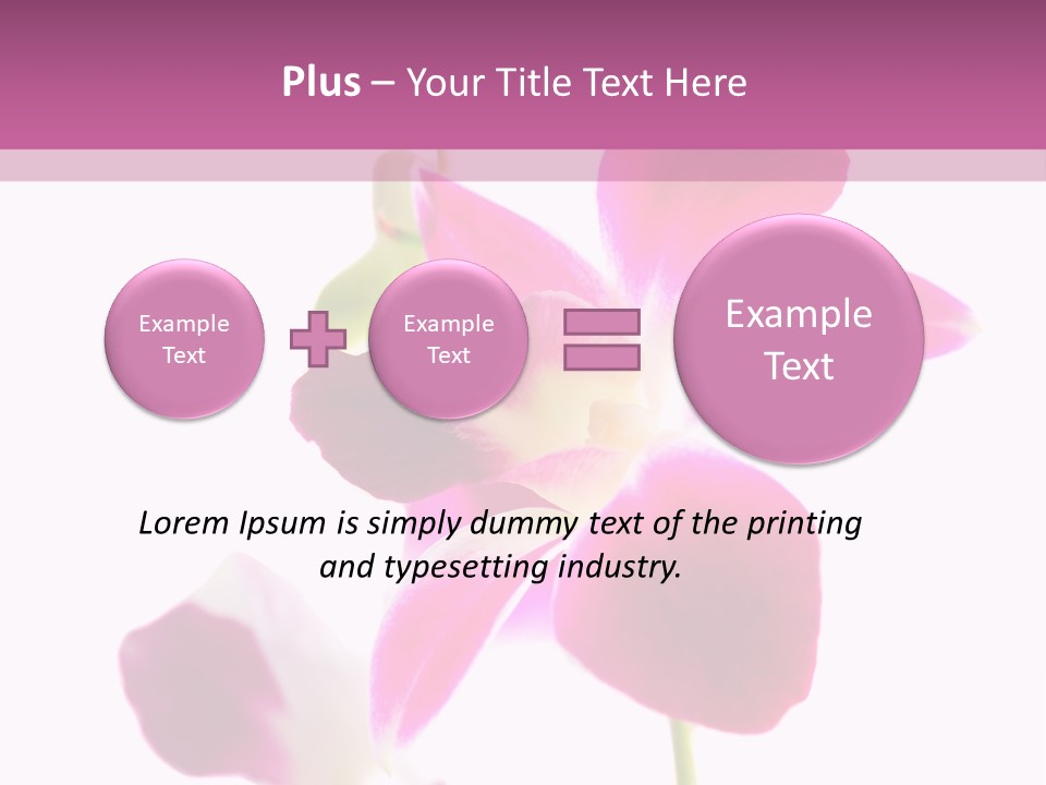 Royal Pink Orchid Isolated On White Background PowerPoint Template