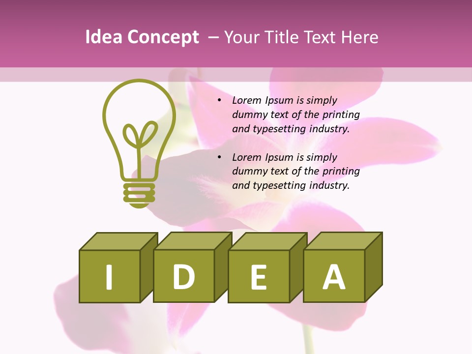 Royal Pink Orchid Isolated On White Background PowerPoint Template