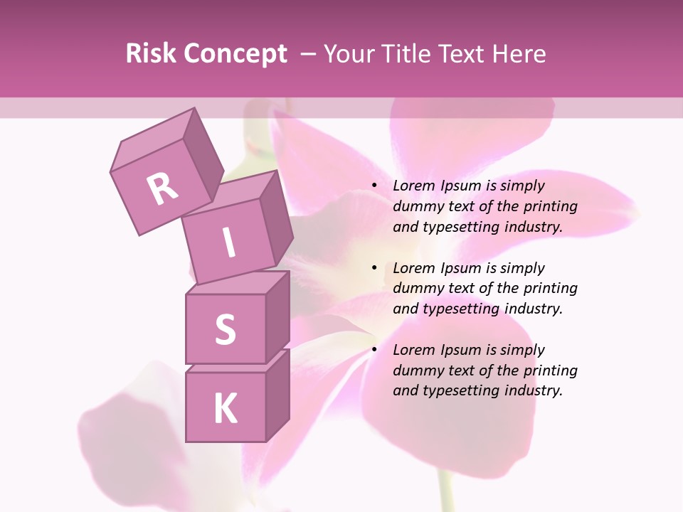 Royal Pink Orchid Isolated On White Background PowerPoint Template