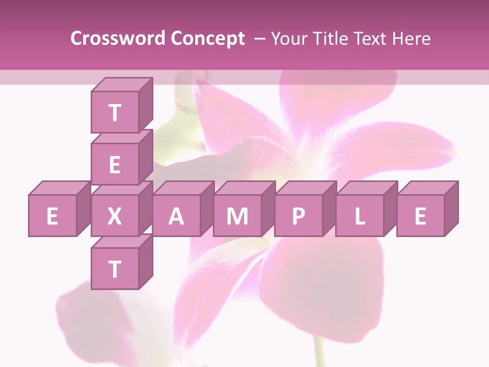 Royal Pink Orchid Isolated On White Background PowerPoint Template