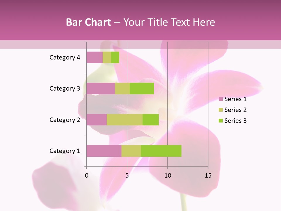 Royal Pink Orchid Isolated On White Background PowerPoint Template