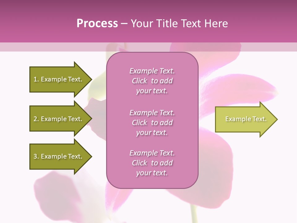 Royal Pink Orchid Isolated On White Background PowerPoint Template