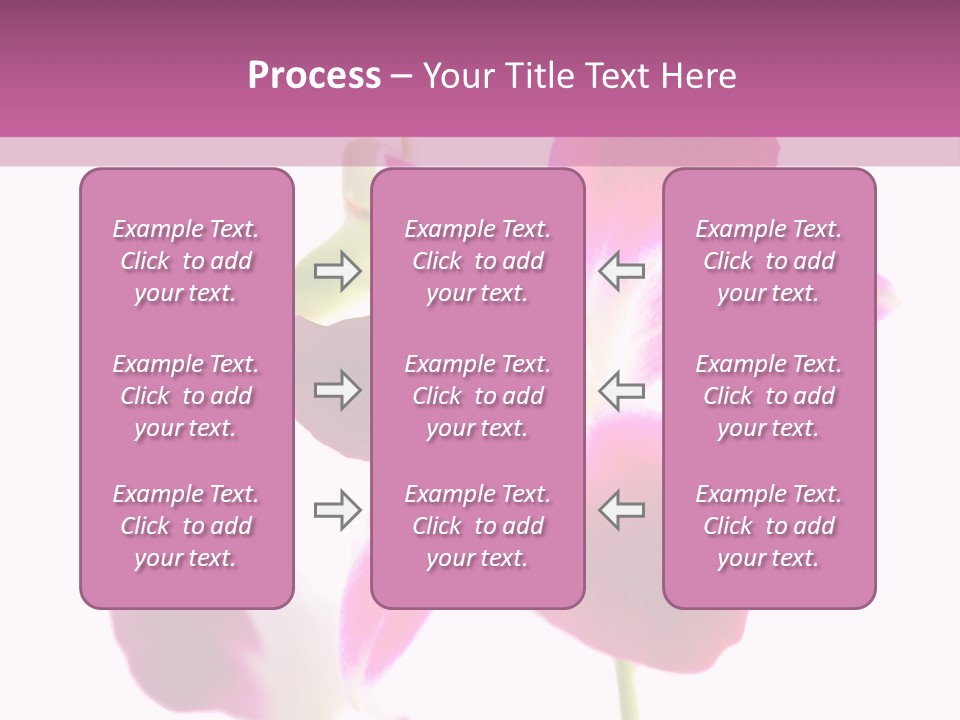 Royal Pink Orchid Isolated On White Background PowerPoint Template