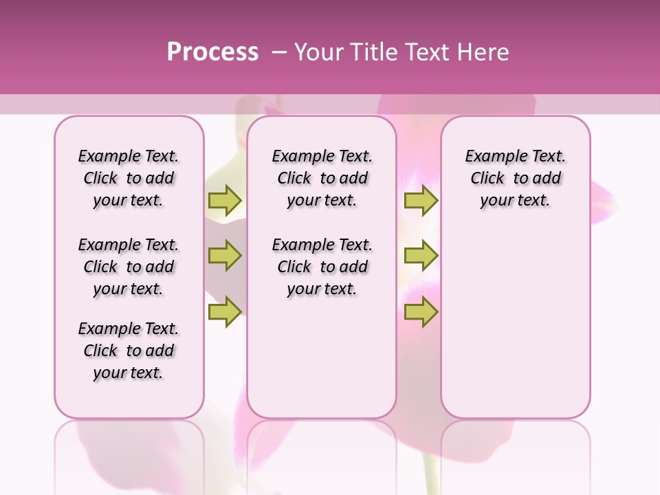 Royal Pink Orchid Isolated On White Background PowerPoint Template