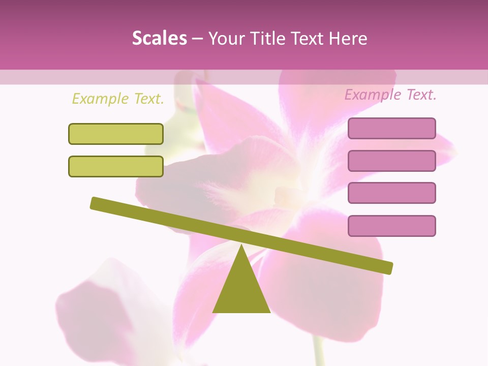 Royal Pink Orchid Isolated On White Background PowerPoint Template