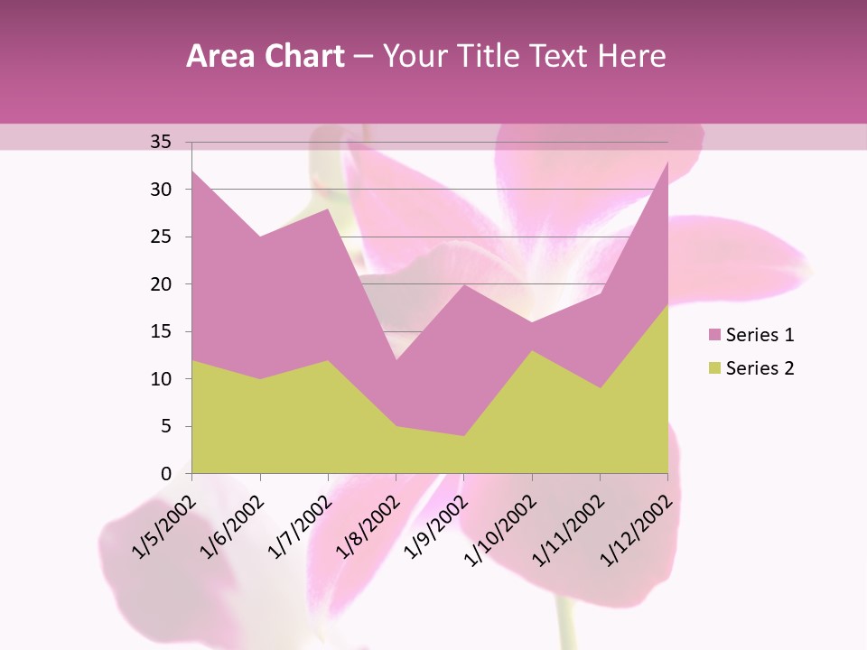 Royal Pink Orchid Isolated On White Background PowerPoint Template